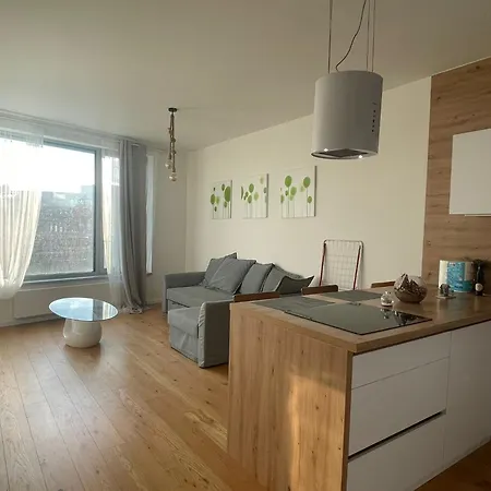 Sag Sky Park Castle Wiev Free Parking Free Wifi Apartment *