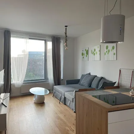 Sag Sky Park Castle Wiev Free Parking Free Wifi 公寓 *